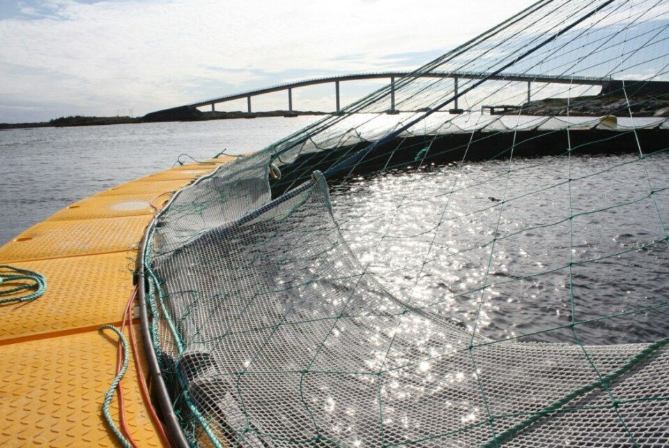 Lukket anlegg: Det finnes ulike prototyper av lukkede anlegg i sjø, men foreløpig ingen i kommersiell produksjon. En tett vegg skiller miljøet i havet fra fisken på innsiden av anlegget. Foto: Reidun Lilleholt Kraugerud, Nofima.