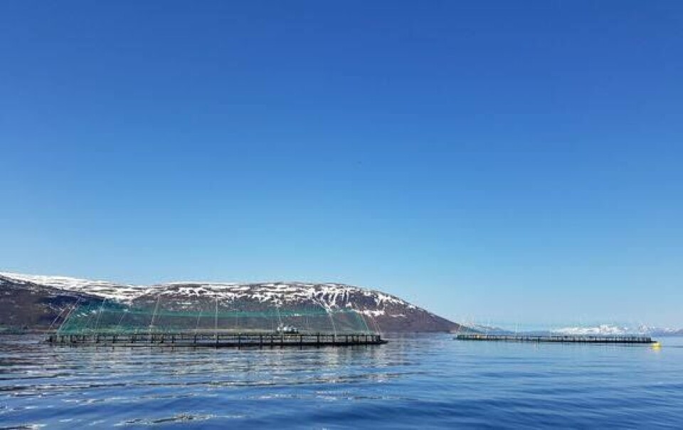 ABB elektrifiserer arbeidsbåt for en av verdens første oppdrettsanlegg for torsk. Foto: Norcod.