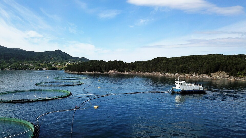 I 2020 åpnet verdens første fullelektrifiserte oppdrettsanlegg for laks til sjøs, Bremnes Seashores anlegg på Loddetå, sør i Vestland fylke. Prosjektet ble utvikliket i samarbeid mellom Bremnes Seashore, Bellona og ABB. Foto: ABB