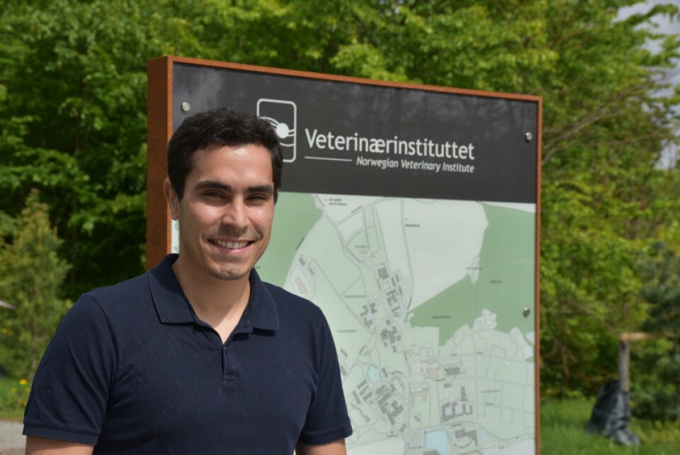 Victor H.S. Oliveira har jobbet på prosjektet MortMonitor som handler om hvordan dødelighetsdata hos oppdrettsfisk kan brukes bl.a. i forebygging av utbrudd av sykdommer. Foto: Mari M. Press