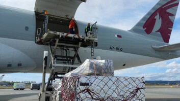 Her lastes laks ombord i et fraktefly fra Qatar Airways på Gardermoen. Foto Qatar Airways Cargo