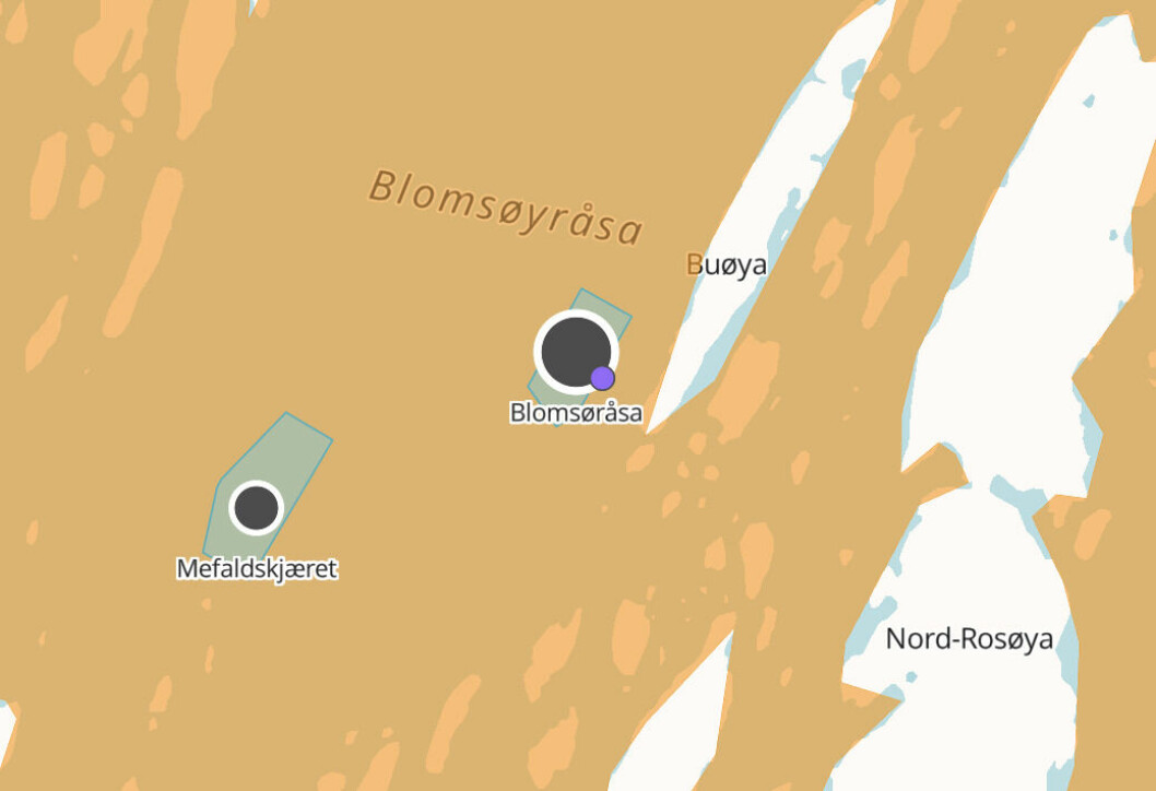 Mowi-lokalitet Blomsøråsa i Alstahaug kommune. Kilde: Barentswatch
