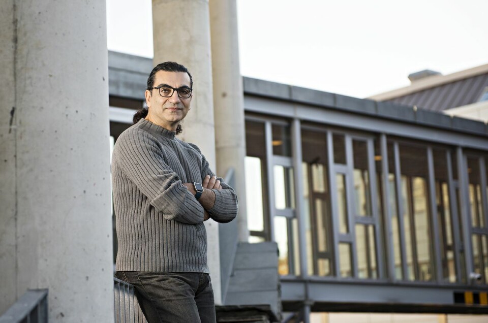 Hooman Moghadam, seniorforsker i Benchmark Genetics. Foto: Benchmark