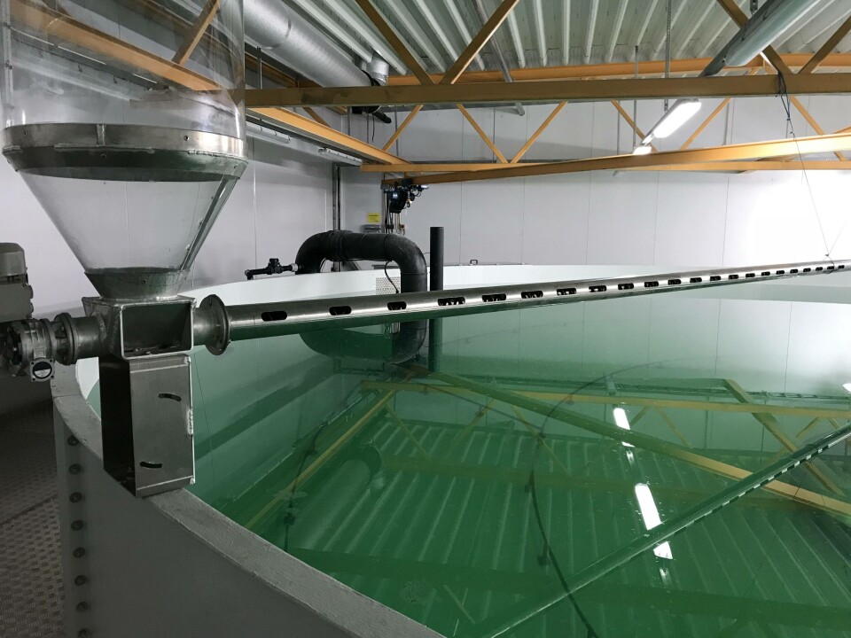 Eit av dei nye kara som vert klargjort for stamfiskproduksjon. Foto: AquaGen AS. Eit av dei nye kara som vert klargjort for stamfiskproduksjon. Foto: AquaGen AS.