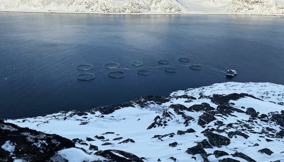 Cermaq hadde i forrige uke en rømming på lokaliteten Bakfjorden i Snefjord, hvor de oppdaget en flenge i noten. Foto: Cermaq.