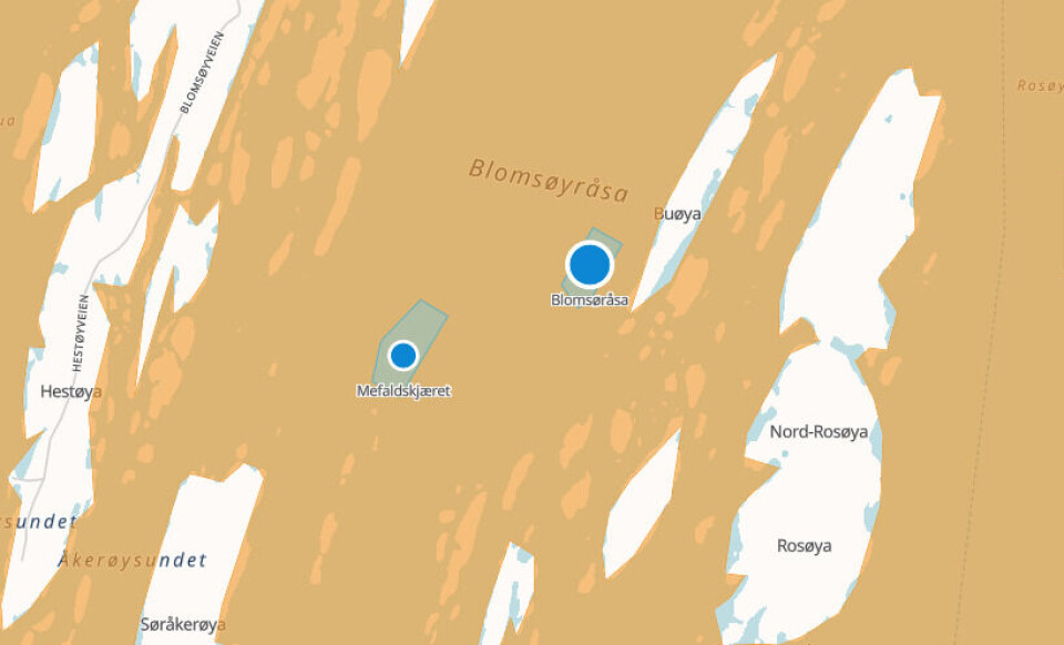 Det er mistanke om ILA på lokalitet Blomsøråsa. Kilde: Barentswatch