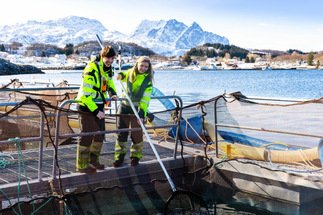 Prosjektmedarbeider Victoria Bloch og forsøkstekniker Terje Kleivkås i LetSea tar opp fisk til uttak i prosjekt. Foto: Hans Petter Sørensen/LetSea.