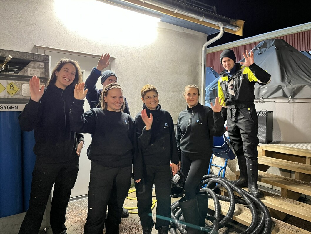 Her ser du noen i teamet som jobber med berggylte på Averøya. Foto: Skjerneset.