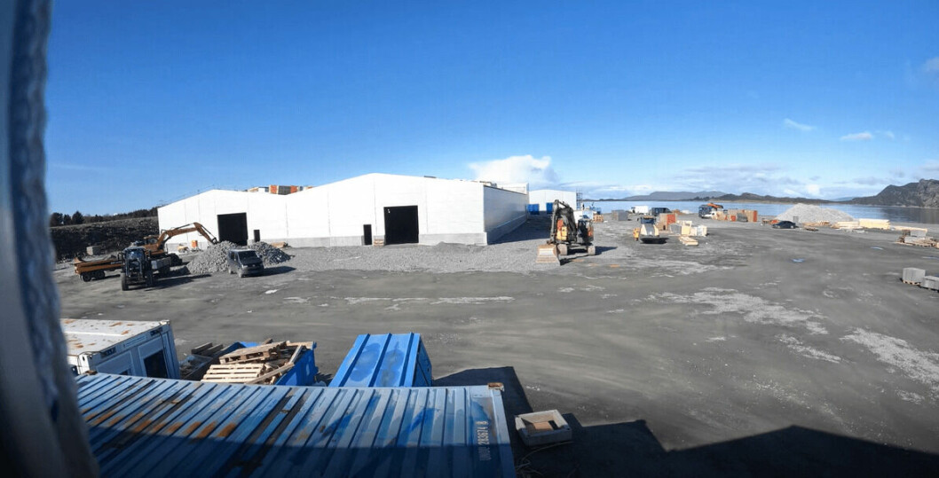 4 mai hadde Havlandet og Norcod kranselag for yngelanlegget som er under bygging. Se timelapse-video av byggingen over. Foto: INC gruppen