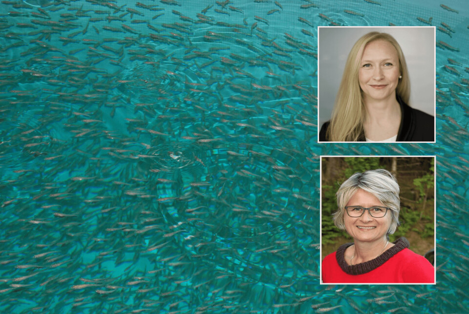 Trine Danielsen og Renate Larsen blir nye styremedlemmer i Norcod. Foto: Norcod
