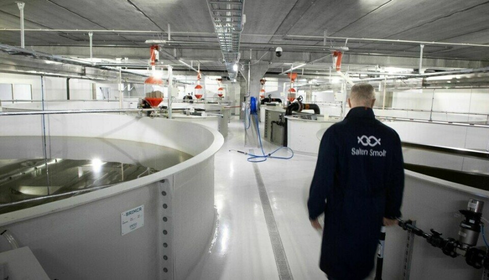 Inne på det nye anlegget i Breivik. Foto; Salten Smolt