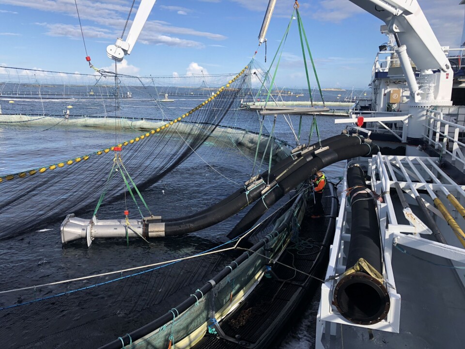 I en artikkel i Norsk Fiskeoppdrett presenteres resultater fra arbeidspakke 1 og 4 i FHF-prosjektet TermVel. Illustrasjonsfoto: Sintef Ocean